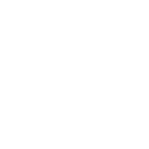 AI voor Ondernemers